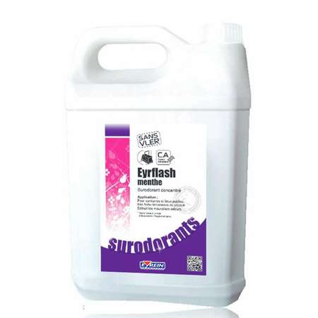 Image de EYRFLASH MENTHE 5L