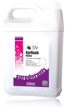 Image de EYRFLASH FRAISE 5L