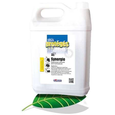 Image de SYNERGIE 5L